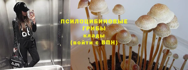 ECSTASY Козловка