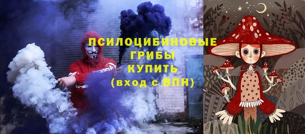 ECSTASY Козловка